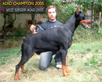 Urbano_del_Diamante_Nero/