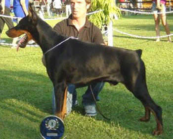 Urbano_del_Diamante_Nero 