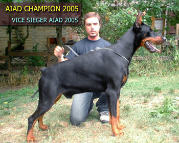 Urbano_del_Diamante_Nero