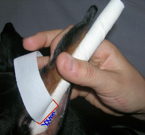 Take one of the 6 strips and press one end into a sticky surface of the rod (under an angle) 
(See red line).