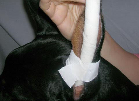 Cut the end of the tape